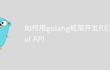 如何用golang框架开发RESTful API