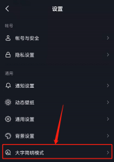 抖音如何取消大字简明模式 抖音取消大字简明模式方法
