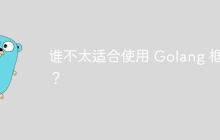 谁不太适合使用 Golang 框架？