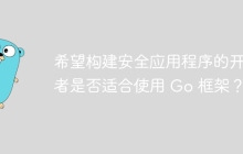 希望构建安全应用程序的开发者是否适合使用 Go 框架？