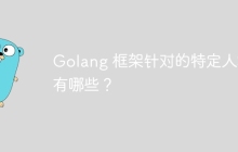 Golang 框架针对的特定人群有哪些？