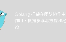 Golang 框架在团队协作中的作用,根据参与者技能和经验