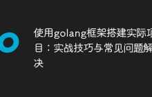 使用golang框架搭建实际项目:实战技巧与常见问题解决