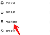 夸克浏览器的夸克彩蛋怎么玩 夸克浏览器玩夸克彩蛋的具体方法