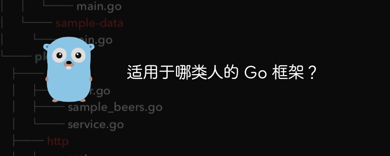 适用于哪类人的 Go 框架?