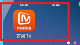 芒果TV怎么设置允许芒果TV展现活跃状态 芒果TV设置允许芒果TV展现活跃状态的方法