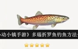 'Heart Town Mobile Game' Partage des méthodes de pêche sur le Danube