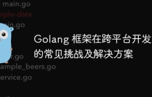 Golang 框架在跨平台开发中的常见挑战及解决方案