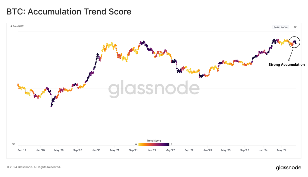Glassnode：比特币回归囤积潮，市场看涨与看跌因素并存！