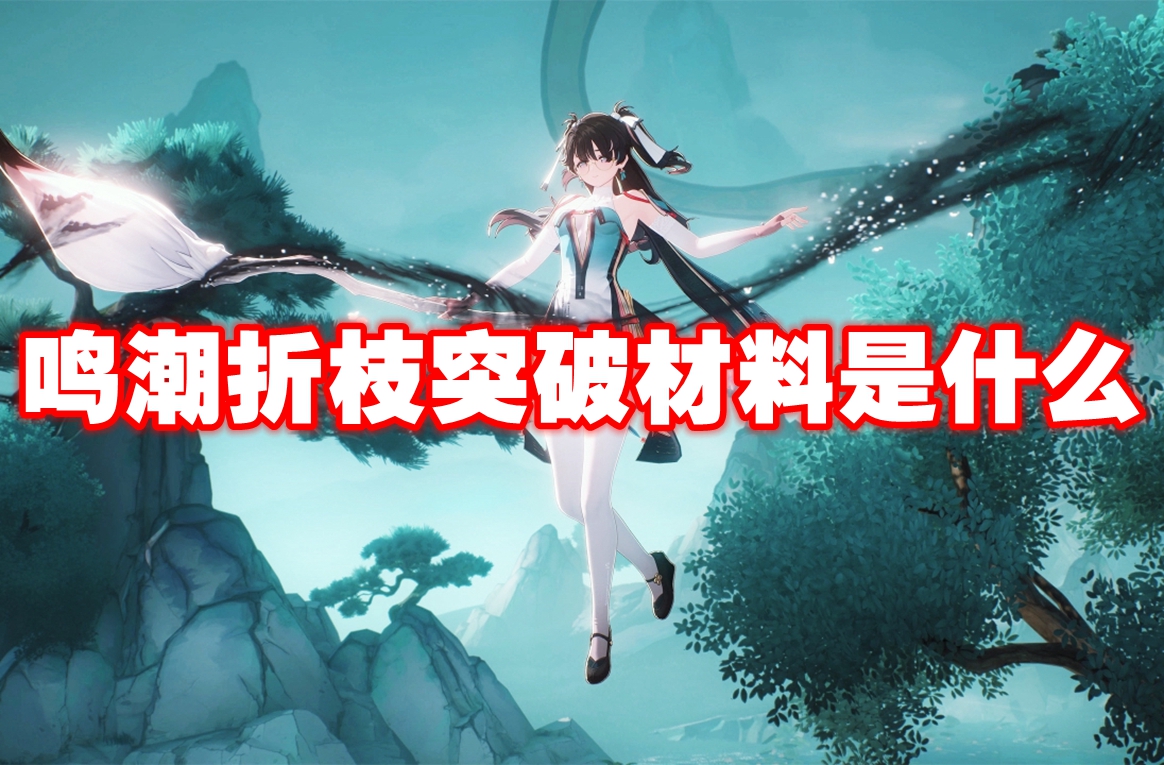 鸣潮折枝突破材料是什么 鸣潮折枝突破材料一览
