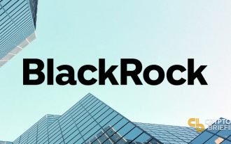 Le State of Wisconsin Investment Board (SWIB) a ajouté 447 651 actions d'iShares Bitcoin Trust (IBIT) de BlackRock à son portefeuille d'investissement.