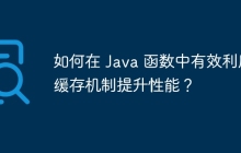如何在 Java 函数中有效利用缓存机制提升性能？