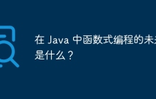 在 Java 中函数式编程的未来是什么？