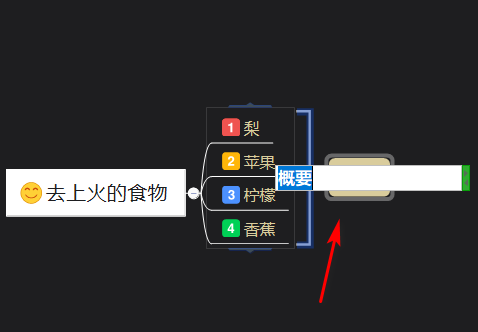 XMind怎样进行概要 XMind进行概要的方法