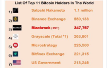 比特币ETF：机构投资者挑战中本聪储备量，引领加密货币持有权的新时代