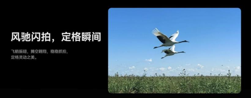 华为 Mate 60 系列迎来秋日礼遇活动:全系入手价只需 4999 元起