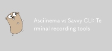 Asciinema 與 Savvy CLI：終端記錄工具