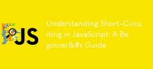Understanding Short-Circuiting in JavaScript: A Beginner&#s Guide