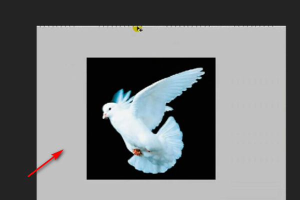 ps套索工具怎么用 ps套索工具的使用方法