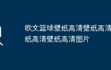 欧文篮球壁纸高清壁纸高清壁纸高清壁纸高清图片
