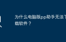 为什么电脑版pp助手无法下载软件？