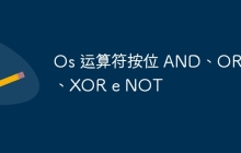 Os 运算符按位 AND、OR、XOR e NOT