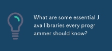 What are some essential Java libraries every programmer should know?