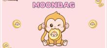 顶级 Meme 代币预售：MAGA Hat、Quant Mutual Fund 和 MoonBag 领先