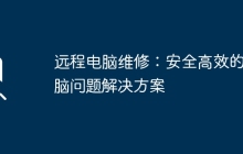 远程电脑维修：安全高效的电脑问题解决方案