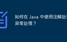 如何在 Java 中使用注解处理异常处理？