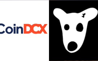 CoinDCX listet den $DOGS-Token auf und ist damit die erste Kryptowährungsbörse in Indien, die dies tut