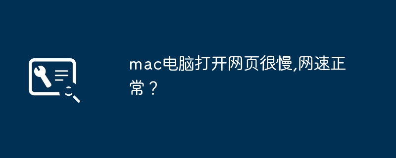 Mac 컴퓨터에서 웹 페이지를 여는 속도가 매우 느립니다. 인터넷 속도는 정상입니까?