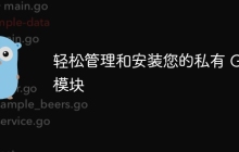 轻松管理和安装您的私有 Go 模块