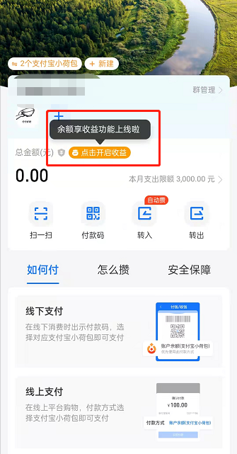 支付宝小荷包余额享收益怎么开 支付宝小荷包开启收益方法