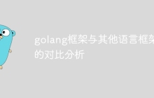 golang框架与其他语言框架的对比分析