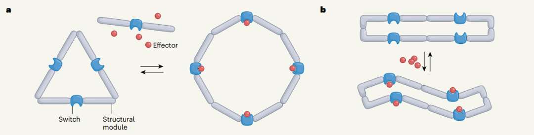 AI从头设计蛋白质「开关」，蛋白质设计的惊人突破，David Baker研究登Nature