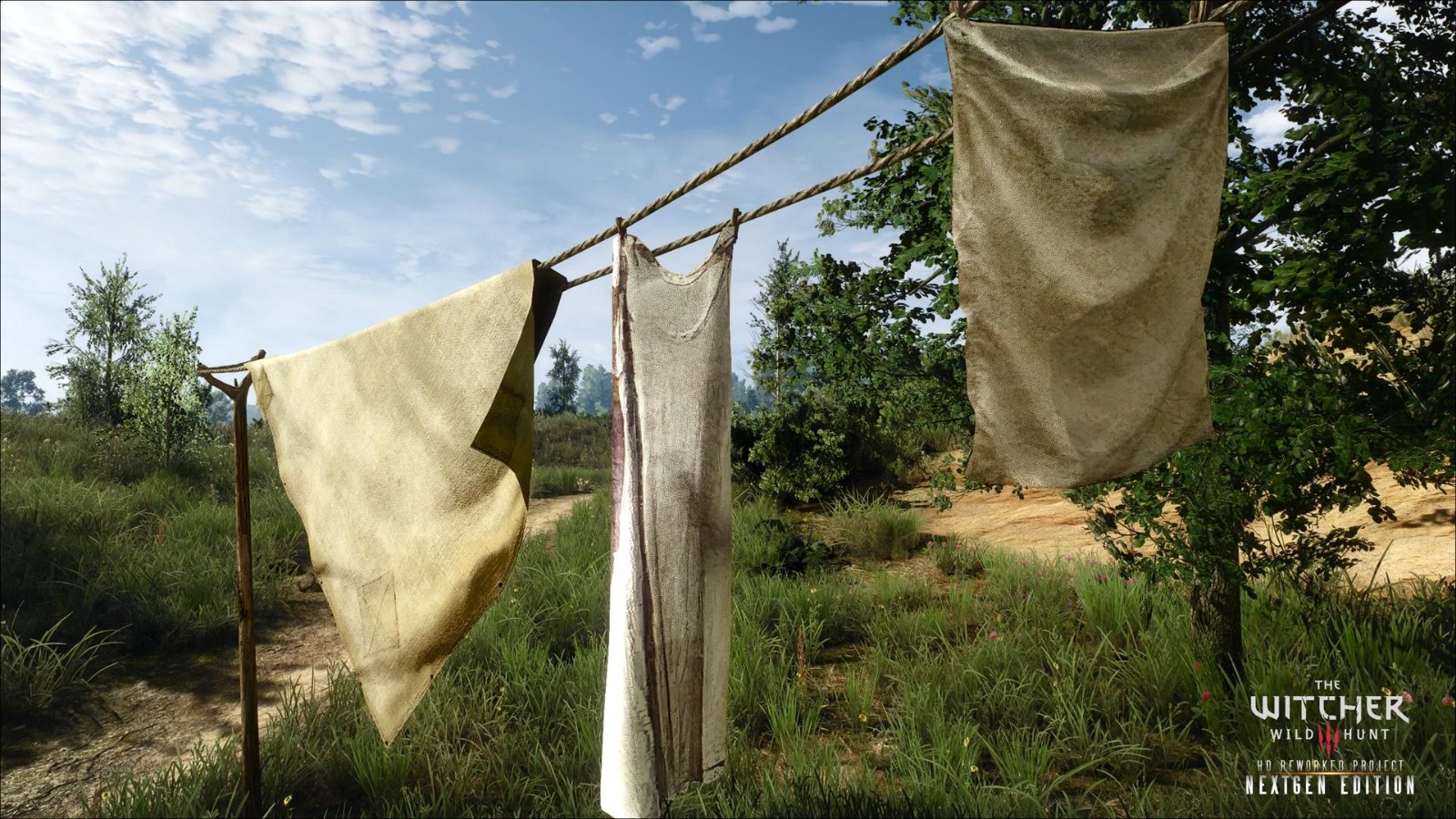 《巫师3》HD重制Mod次世代版新视频 令人惊叹!