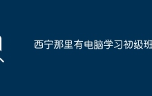 西宁那里有电脑学习初级班？