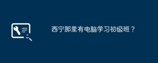 西宁那里有电脑学习初级班？