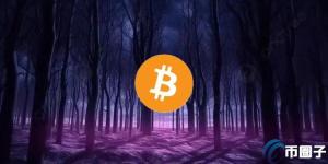 Polygon高管：90%公链BD都会索要分红空投！EigenLayer非个例