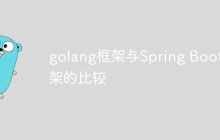 golang框架与Spring Boot框架的比较