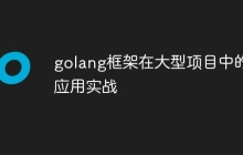 golang框架在大型项目中的应用实战