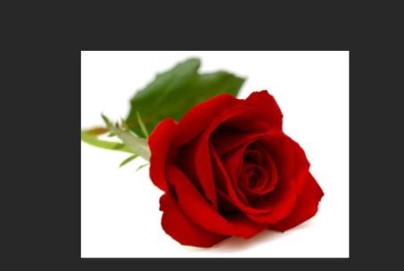 怎么用ps调整照片分辨率dpi ps调整分辨率dpi具体教程