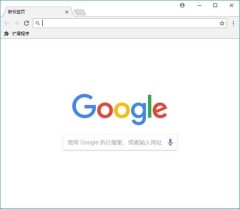 怎么禁止Chrome浏览器隐藏url的www前缀