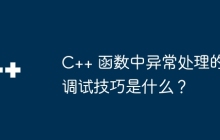 C++ 函数中异常处理的调试技巧是什么？