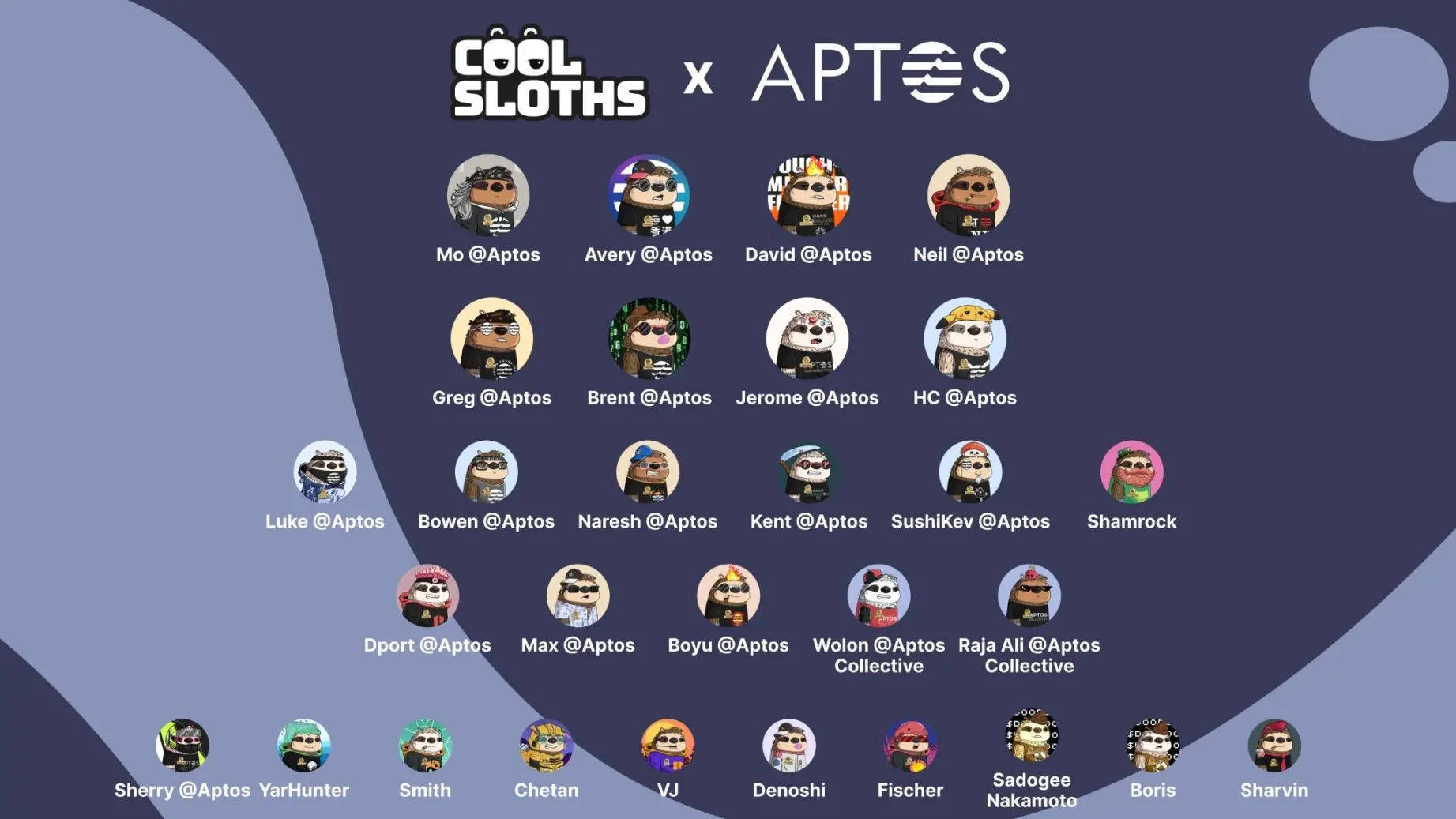 红遍 Aptos 半边天的 Cool Sloths，到底是什么来头？