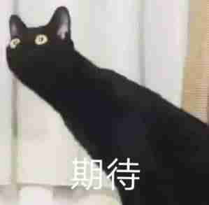 iPhone和安卓手机彻底互通！但我劝你别高兴太早