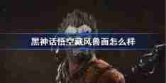 《黑神话悟空》藏风兽面效果介绍