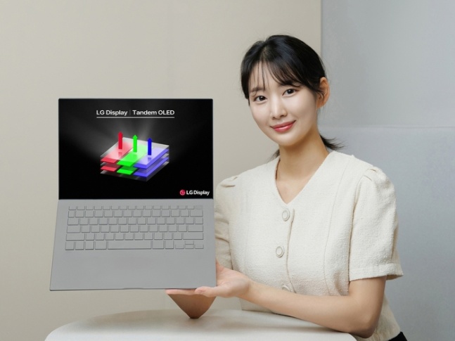 LG Display has successfully developed a blue phosphorescent OLED panel and plans to conduct mass production performance evaluation within this year