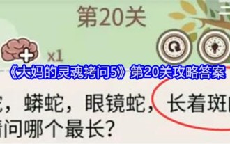'아줌마의 영혼 고문 5' 레벨 20 연습 답변